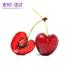 JOYVIO Chilean Cherries Big Mac 3J Grade 2.5kg Gift Box Fruit Diameter Approximately 30-32mm Straight from the Source Free Shipping