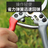 Piers pruning shears imported from Japan SK5 steel scissors for gardening and horticulture, strong flower shears for thick branches of fruit trees, floral scissors V1 - red, gray, white head and white blade - pruning shears