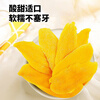 7D Dried Mango 100g Dried Fruit Imported from the Philippines New Year's Day Candied Fruit Snacks Individually Packaged
