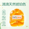 Natural Dr. DHA Algae Oil for Infants and Toddlers 0-3 Years Old Little Amber DHA Algae Oil Gold Label Popular Gold Label DHA Little Amber 60 capsules*1 bottle