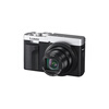 Panasonic ZS99 (Panasonic) Portable Telephoto Digital Pocket Camera Silver