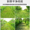 Wornonside's new grass cutting and returning machine, four-wheel drive micro-tiller, diesel multi-functional gasoline self-propelled orchard weeding mower, four-wheel drive 170F gasoline hand-pulled machine, 50cm wide, weeding knife + rotary tiller + furrow plow