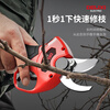 Delixi electric pruning shears fruit tree high-altitude pruning shears rechargeable telescopic pole pruning shears tree scissors gardening shears can cut 4.4 meters high 5.0Ah brushless 2 electric