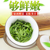 Send Yi a pound of high mountain cloud green tea Maojian 2023 new tea authentic early spring tea bulk extra strong flavor fried green 500g
