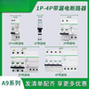 Schneider surge protector leakage IC65 household main switch with leakage 1P+N leakage protection air switch IC65 series 1P+N (occupies two positions) 32A