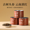 Qichun Yunnan Red Golden Silk Tea Yunnan Fengqing Stomach Nourishing Black Tea Warm the Stomach and Drink It by Yourself Small Canned Ration Tea 60g