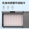 Nixue Freezer Commercial Household Freezer Horizontal Large Capacity Full Freezer Display Cabinet Refrigerated Freezer Large Freezer 2288 Single Temperature Dual Machine Copper Tube-Xingyao Gray Expanded Version Level 1 Energy Consumption