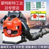 Yamaha engine snow blower high-power gasoline hair dryer backpack wind fire extinguisher fallen leaf cleaning greenhouse four-stroke YMH9910