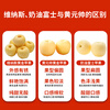 Jingxiansheng Shandong Golden Cream Fuji Ugly Apple, net weight 4.5kg, single fruit 210g+, seasonal and fresh, straight from the source