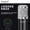 DepushengA8 sound card microphone USB wired computer online class recording dubbing karaoke game anchor singing TikTok audiobook recording teaching microphone notebook condenser metal