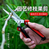Vinoa powerful and labor-saving fruit-picking scissors, stainless steel serrated gardening pruners, tree, vegetable and fruit gardening tools (serrated version) powerful fruit-picking scissors (random color) 1 set