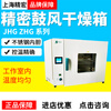 Renjuyi Shanghai Jinghong DHG-9011A/DHG-9141A blast drying oven electric constant temperature oven laboratory vertical DHG-9053A