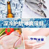 Liuyang ice bag fresh-keeping express special biological ice bag without water filling reusable frozen refrigerated seafood fruit aviation 100g 10 pieces reusable type