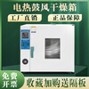 Electric constant temperature blast drying oven laboratory small oven food dryer industrial high temperature oven drying oven 25x25x25 galvanized inner tank without blast 202-0