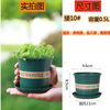 Flower pot plastic wholesale large balcony pothos small potted tray extra large gallon resin succulent pot + tray tall 1.5 gallon diameter 17cm 2 pieces