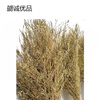 Xie Cheng Youpin Large Broom Handle 4kg
