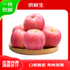 Jingxiansheng Shandong Yantai Red Fuji Apple, net weight 5 pounds, fruit diameter 80mm+, fresh fruit, straight from the source