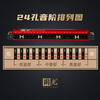 Guoguang 24-hole beginner's entry-level commemorative edition polyphonic harmonica in C key (Chinese red) gift box