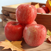 Jingxiansheng Shaanxi Luochuan Red Fuji Apple Net Weight 8.5 Jin 75-80mm Single Fruit 170g + Fresh Fruit Straight from the Source