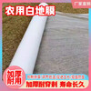 Agricultural shed film, mulch film, thickened planting agricultural land film, soil vegetable film, plastic film film insulation, white 10.5 catties, 1 silk, 0.8 meters wide, 1300 meters long