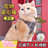 Tianmiaomiao Cat Traction Rope Vest Type Harness Reflective and Breathable When Walking Cats Rope British Short Ragdoll Pet Traction Rope Gray Pet Harness + 1.5 Meter Traction Rope M chest 34-40cm (recommended around 8.5-14 catties) to prevent breaking away and getting lost