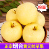 Sweet and drunk Yantai Apple Yellow Marshal Noodles Apple Golden Marshal Yellow Banana Shandong Fresh Fruit Seasonal Whole Box Fresh Fruit Net Weight 4.5 catties 75mm