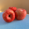 Jingxiansheng Shaanxi Luochuan Red Fuji Apple Net Weight 8.5 Jin 75-80mm Single Fruit 170g + Fresh Fruit Straight from the Source