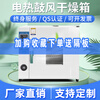 Electric constant temperature blast drying oven laboratory small oven food dryer industrial high temperature oven drying oven 25x25x25 galvanized inner tank without blast 202-0