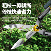 German quality pruning shears, special scissors for cutting branches, saving labor for gardening, pruning flowers, fruit trees, hedges and trees, telescopic straight blade hedge shears (SK11 alloy blade)