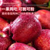 Uncle Sam Huaniu Apple Flash Delivery Gansu Tianshui Noodles Apple Fruit Gift Box Snake Fruit New Year's Day Sweetness Upgrade Fruit King 80-85mm 9 catties Best Deal - All-you-can-eat for the whole family Net 8.5 catties