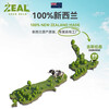 ZEAL dog and cat snacks green-lipped mussels 50g nutritional freeze-dried pet food imported from New Zealand