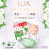 Lux (LUX) soap six-pack, Youlian Charming Skin 100gx3 + Mugwort Camellia 100gx3