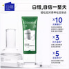 Baixi Toothpaste White Mist Camellia 100g Probiotic Suppression Men and Women Fluorine Cleaning Amino Acid Cleansing New Bad Breath Gift