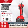 Delixi electric pruning scissors, special for pruning fruit trees, lithium battery electric scissors, 2.0Ah, professional high configuration, 1 battery, 1 charge, no blades included