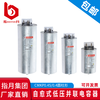 Zhiyue Group Cylindrical Power Capacitor BSMJ/CMKP0.4/0.44/0.525/0.45-15-3 10Kvar 0.4 (400V)