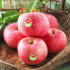 Good Farmer 25 Years New Fruit Yantai Red Fuji 5kg 8-12 pieces Single fruit 200g+ Straight from the source