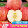 Crisp and sweet red Fuji apples, Shandong Yantai Qixia ugly apples, fresh fruit, whole box, 9-10 catties in box, sweet and medium-sized fruit