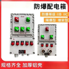 Explosion-proof distribution box control box lighting power box maintenance power socket box switch electric control cabinet stainless steel customization complete set of three circuits + main switch_EXde_IIBT4_6
