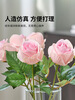 IKEA (IKEA) SMYCKA artificial flower rose pink rose 40cm