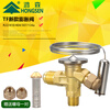 Refrigerator air conditioning cold storage TF type right angle internal balance R22/R410/134A throttling thermal expansion valve R410 valve body with (No. 3 core) free nut
