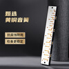 Guoguang 24-hole beginner's entry-level commemorative edition polyphonic harmonica in C key (Chinese red) gift box