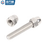 Guwanji 304 stainless steel tooth rod screw full thread screw cap nut set tooth rod screw stud combination M3M20 M5x25 (20 sets)