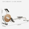 FEIERDUN electromagnetic resistance rowing machine home aerobic commercial gym equipment magnetically controlled intelligent silent rowing machine Haoyuebai Intelligent Professional Edition 176*47*70cm