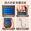 Meilen Portable Scale Electronic Scale Portable Scale Gram Scale Weighing Vegetables Express Crane Scale High-Precision Luggage Scale 50kg