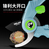 Delixi gardening scissors pruning garden pruning branches special scissors fruit branch pruning flower pruning pruning shears