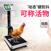 Zhizun (ZHIZUN) electronic scale for weighing goods, commercial platform scale for setting up stalls, electronic weighing floor scale, waterproof seafood and aquatic products express scale, 200kg table top 31*41, backlit for seafood and aquatic products