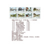 Haozangtianxia Ancient Town Series Stamp Encapsulation Rating