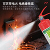 Green Fire 25 new national standard home commercial bulk energy vehicle-mounted 3L water-based fire extinguishing equipment fire 3c certification Jingdong self-operated