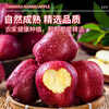 Uncle Sam Huaniu Apple Flash Delivery Gansu Tianshui Noodles Apple Fruit Gift Box Snake Fruit New Year's Day Sweetness Upgrade Fruit King 80-85mm 9 catties Best Deal - All-you-can-eat for the whole family Net 8.5 catties