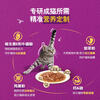 Weijia Imported Cat Staple Food Fresh Double Enjoyment Wet Food Pack 510g (85g*6)